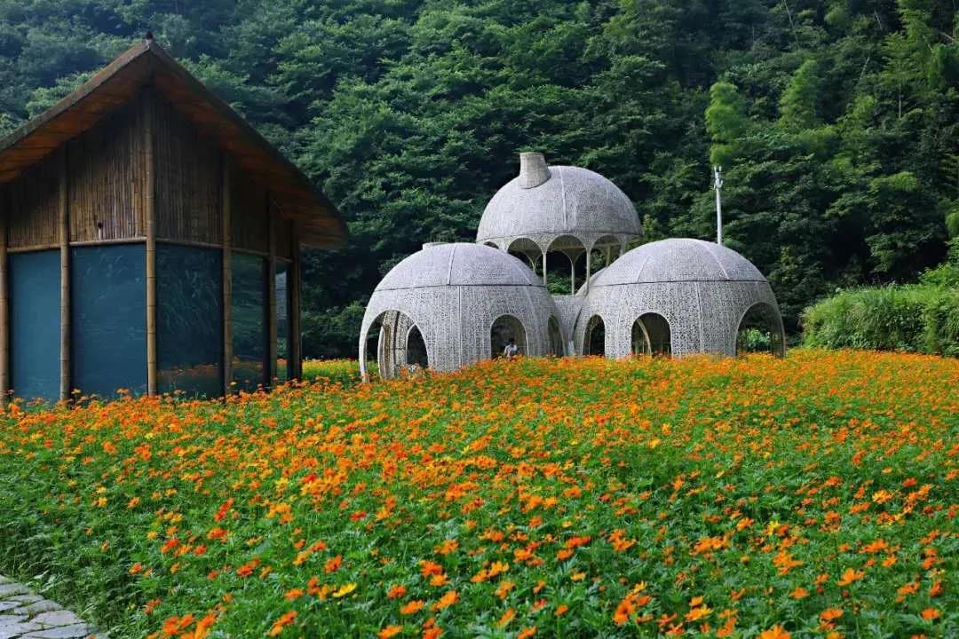 上云溪·山居里

