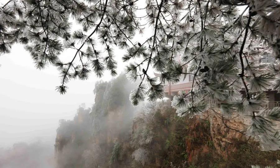 张家界武陵源景区天子山雾凇景观 吴勇兵 摄