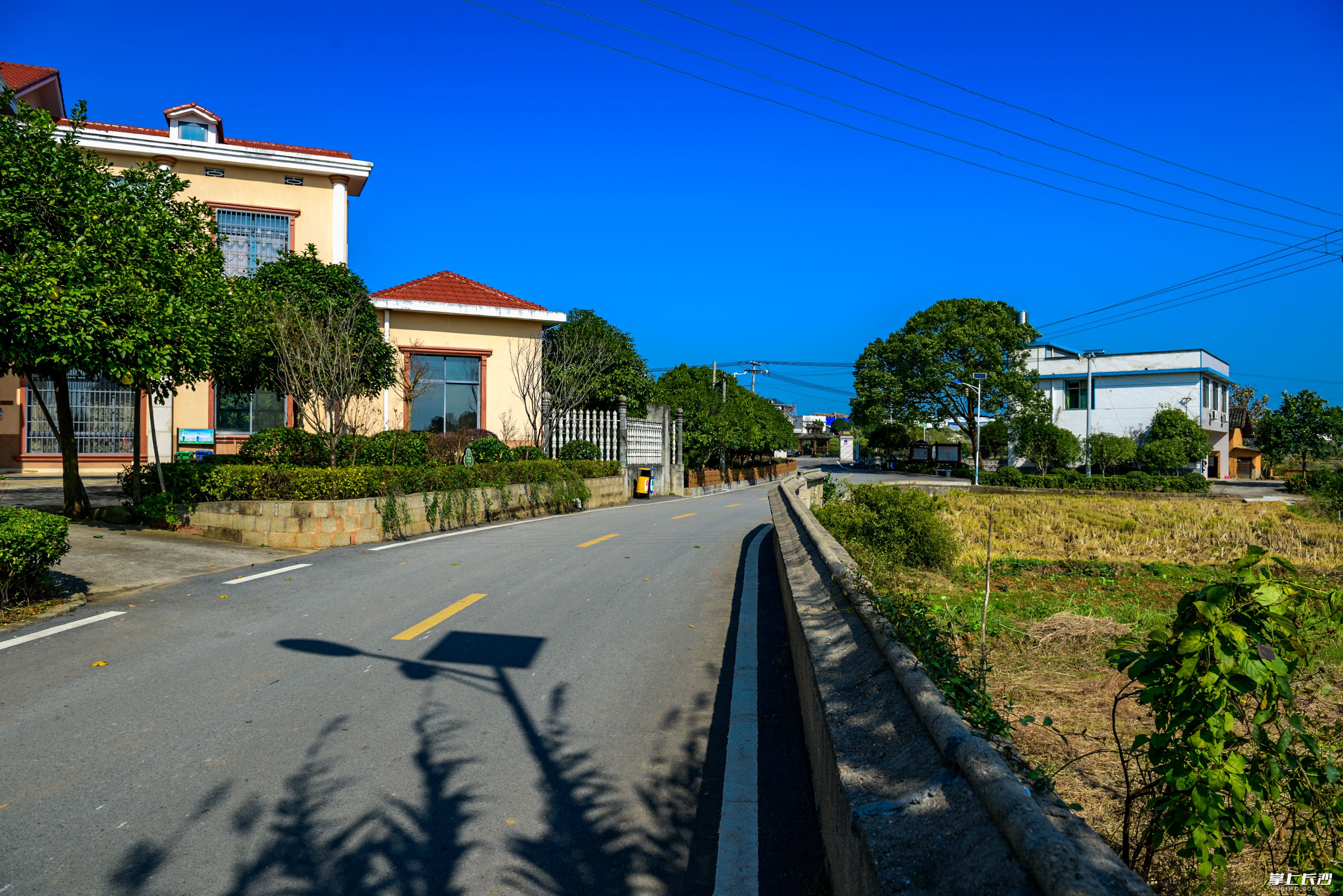 浏阳永安镇芦塘村，房在景中，村在绿中，宛如一幅灵秀的山水画卷，正写就着美丽乡村的生动范本。长沙晚报全媒体记者 陈飞 摄