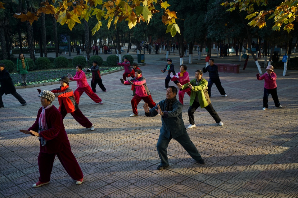 河南省焦作市太极拳爱好者早晨在人民公园集体习练太极拳。摄影：孙海涛