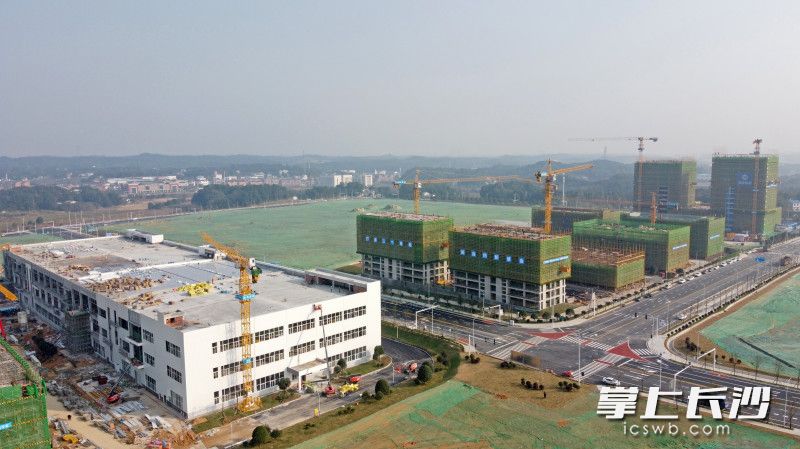 长沙（金霞）消费电子产业集聚区规划面积10.25平方公里，将建成世界级消费电子终端产品及装备研发、制造基地。长沙晚报全媒体记者 王志伟 摄