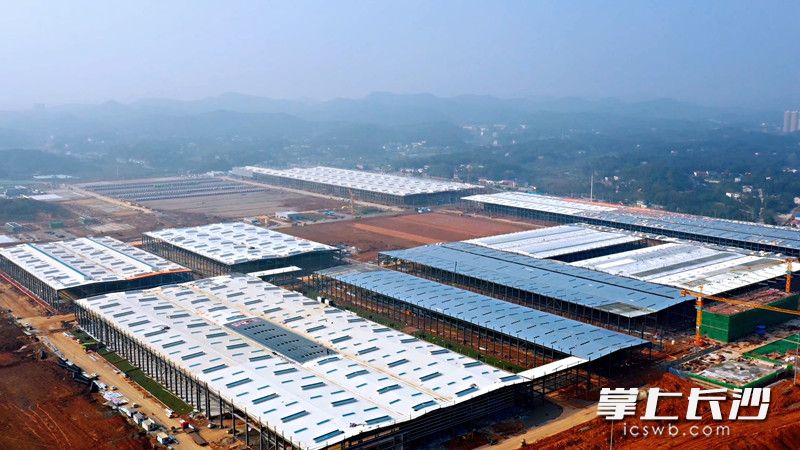 中联智慧产业城挖掘机械园区将于12月31日下线中大挖产品，填补长沙大型挖掘机生产制造的空白。通讯员  张恬 供图