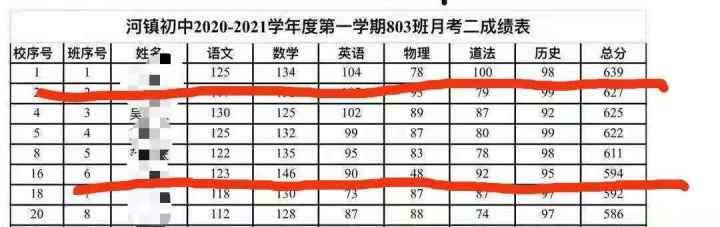姐妹俩的成绩 受访者 提供