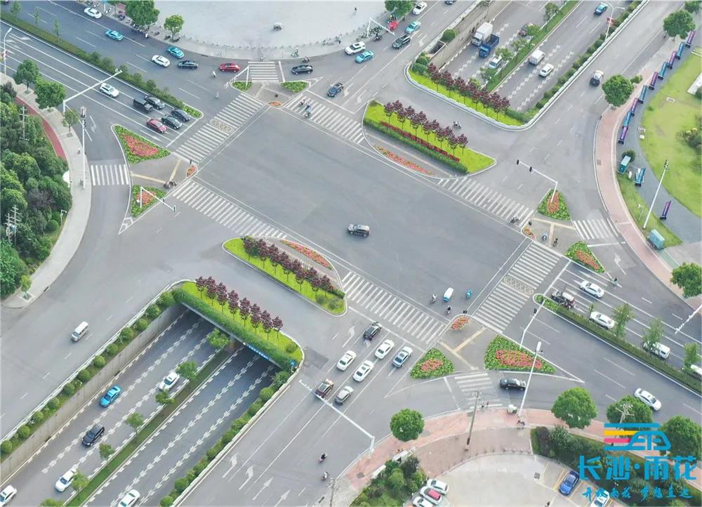新变化之一：高铁站西广场植物四季幻彩，视觉上更通透
