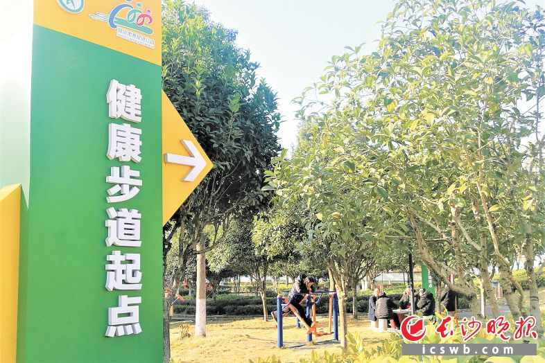 在玉潭街道通益社区，社区小公园成为居民们休闲健身的好去处。张禹 摄