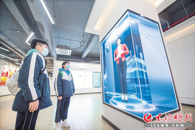 高新视频吸引游客驻足。长沙晚报全媒体记者 黄启晴 摄