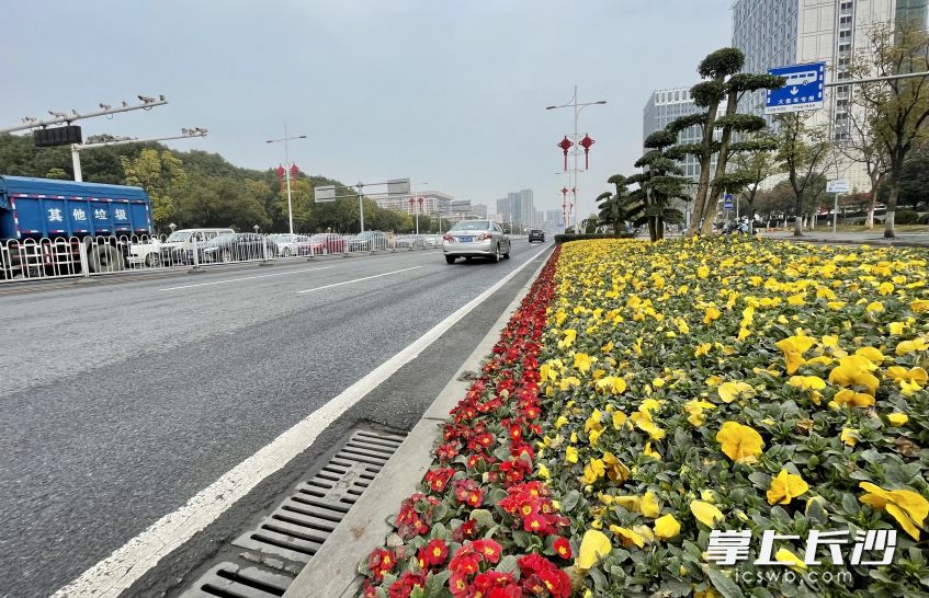芙蓉路（人民路—湘府路）对道路绿化、道路路面、城市家具等进行六位一体品质提升。全媒体记者 唐朝昭 摄