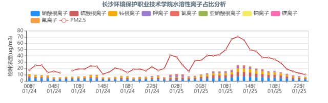 2020年除夕、初一长沙某组分站水溶性离子组分变化趋势图