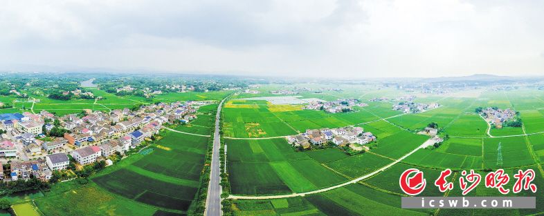 永社公路两旁的青山、绿水、田野、屋舍依次铺开，“畅、安、舒、美” 的路域环境让人惬意。长沙晚报通讯员 陈永灿 摄