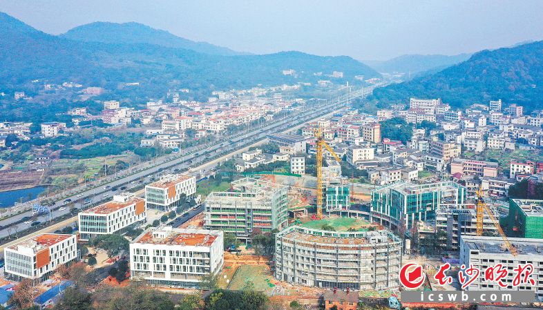 图为正在建设中的岳麓山大学科技城湘江科创基地。大科城致力瞄准世界科技前沿，打造国家级、省级创新平台。长沙晚报全媒体记者 邹麟 摄