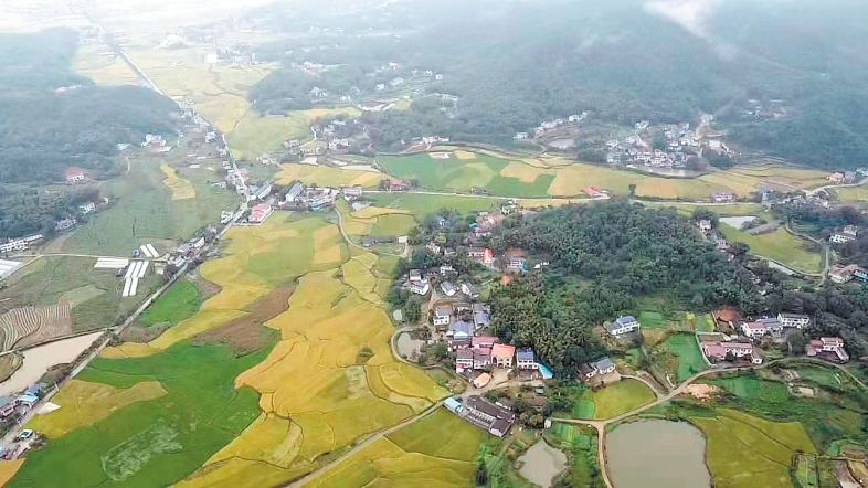 如今的繁荣村，山青水秀，一片生机勃勃。　　繁荣村供图