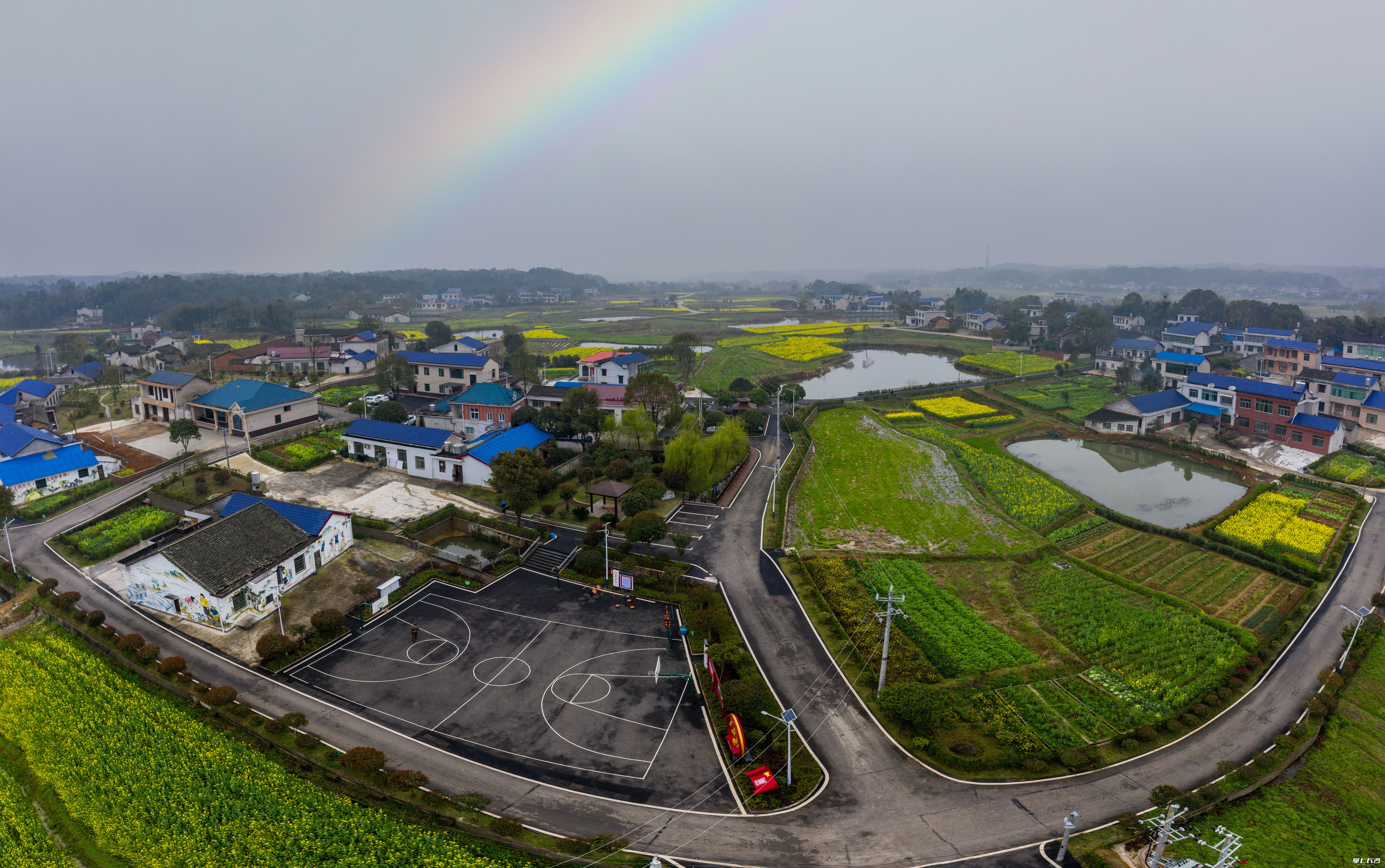 目前陈家桥村15个美丽屋场相继建成,和谐幸福的乡村美景一览无余长沙晚报全媒体记者 陈飞 摄
