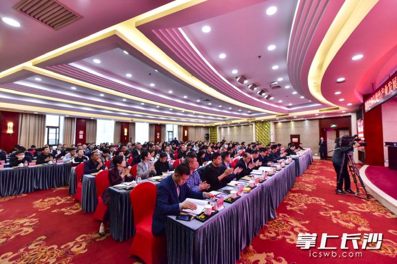 这个发展委员会有助于打破区域壁垒，共推花炮产业高质量发展。受访者供图