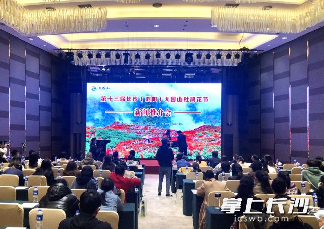 杜鹃花节推介会现场。长沙晚报全媒体记者 颜开云 摄