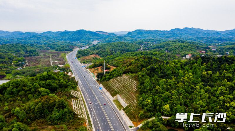 洞株路全程无红绿灯，是一条长沙、株洲两地高效快捷的免费通道。作为长株潭“三干两轨”项目之一，全长30.1公里的洞株城际快速路大大的方便了两地之间的互通。