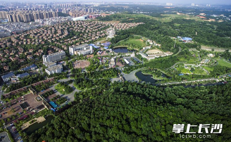 春意盎然的暮云片区，公园、住宅、绿地等片区功能规划先行，犹如一幅生态画卷。 