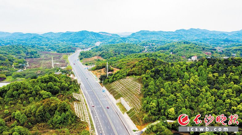 洞株路全程无红绿灯，是一条长沙、株洲两地之间高效快捷的免费通道。作为长株潭“三干两轨”项目之一，洞株城际快速路大大方便了两地之间的互通。 长沙晚报全媒体记者 邹麟 摄