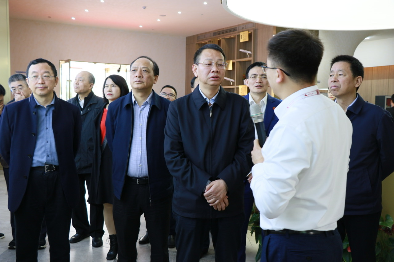 今日，长沙市政协主席会议成员调研视察长沙临空经济示范区。均为长沙晚报通讯员 邓芳 摄