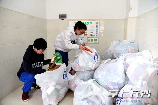 雅礼麓谷中学环保部的学生在环保小屋检查可回收垃圾袋里装的垃圾是否分类正确。