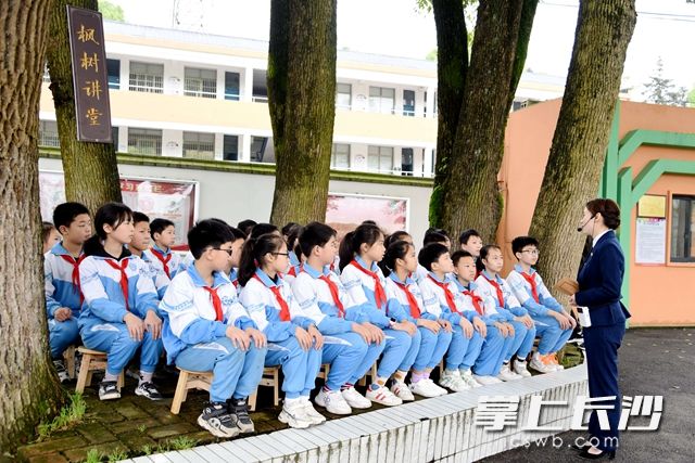 4月23日，高新区枫树小学“枫树讲堂”开课啦！