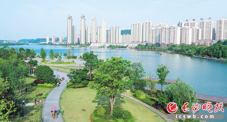 市民在梅溪湖畔骑行游玩,畅享品质城市带来的惬意生活。长沙晚报全媒体记者 黄启晴 摄 市民在梅溪湖畔骑行游玩,畅享品质城市带来的惬意生活。长沙晚报全媒体记者 黄启晴 摄