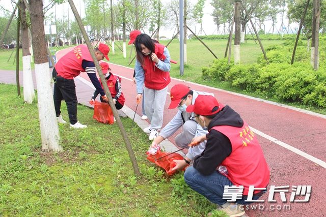 雷锋街道青年们手拿垃圾钳和垃圾袋，清理雷锋文化公园内的垃圾。