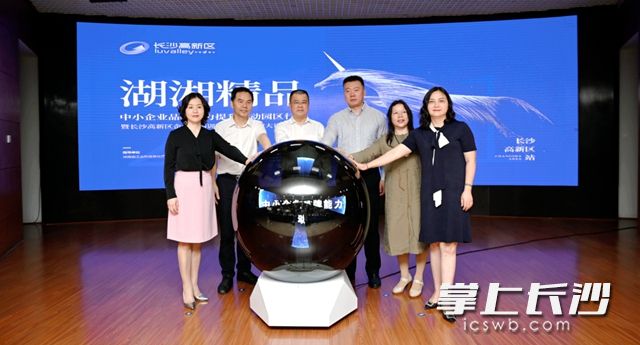与会领导及嘉宾按下启动球，共同启幕”湖湘精品“中小企业品牌能力提升行动园区行活动。