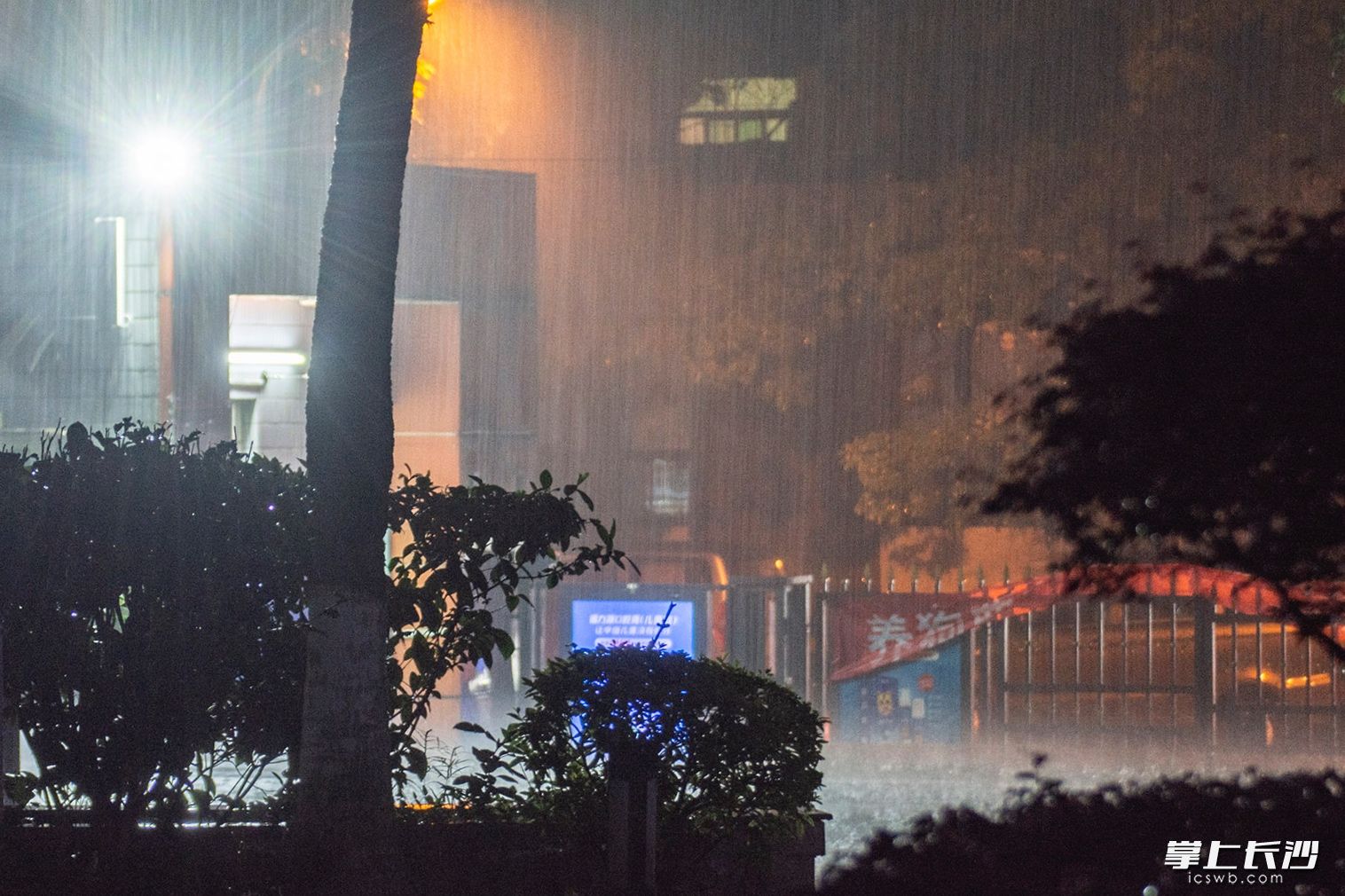 5月15日晚，长沙部分地区突降暴雨，图为红花坡小区附近拍摄的雨景。 长沙晚报通讯员 吴振根 摄