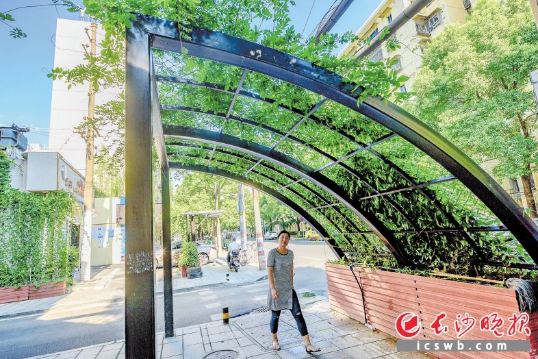 在提质提档过程中，荷晏社区别出心裁推出立体绿化，绿楼、绿墙、绿道以及绿廊花架随处可见。 长沙晚报全媒体记者 陈飞 摄