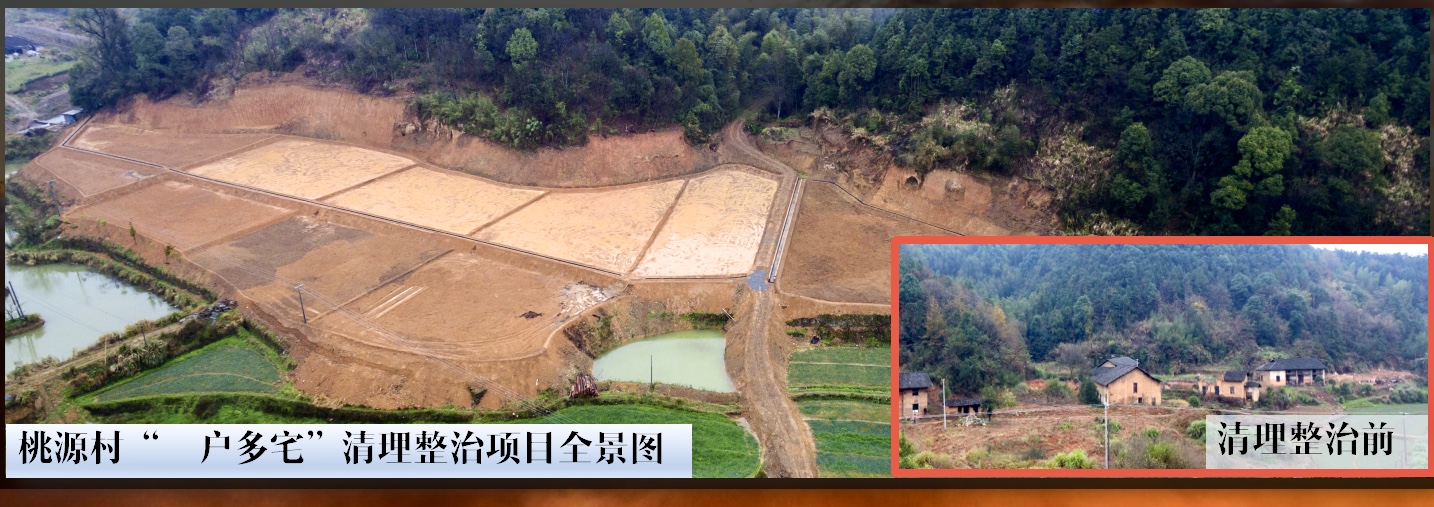 图为沙市镇桃源村闲置宅基地复垦前后对比，如今这里种上了蔬菜。受访者供图