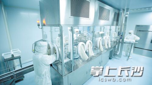 美柏生物生产车间。美柏生物 供图