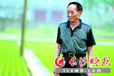 “稻田+袁隆平”，是全世界最温馨的组合之一。 陈飞2007年5月摄于位于长沙的超级杂交稻试验基地