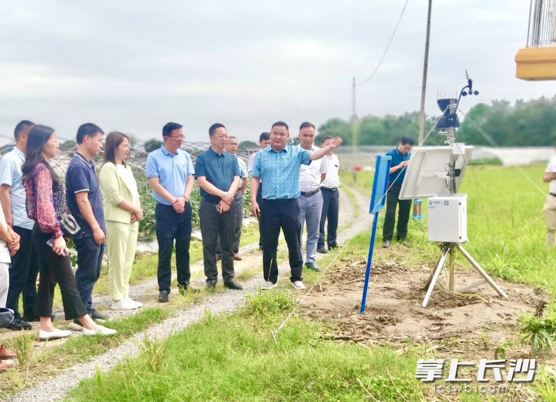 来自湘赣边各县（市、区）的客人在国家农业绿色发展长期固定观测浏阳试验站腾祥观测点参观。长沙晚报通讯员 谢敏 摄