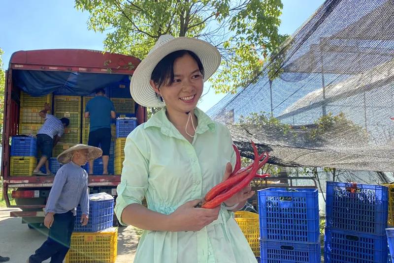 汝城县大坪镇火红辣椒带来红火生活