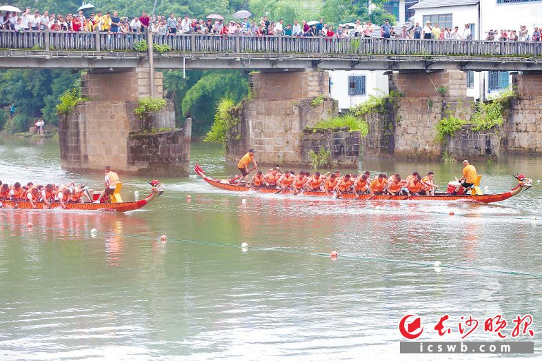 浏阳河官渡镇段，河上龙舟竞逐，两岸万人空巷。均为长沙晚报全媒体记者 颜开云 摄