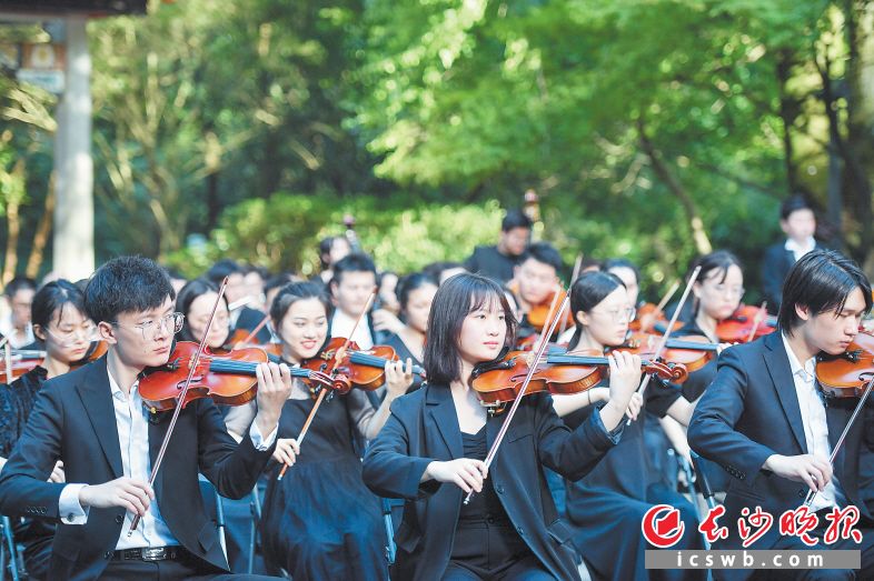 乐手们的演奏十分投入。