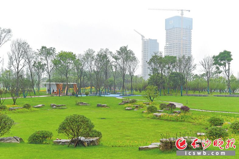 今年上半年，长沙完成了马栏山公园等一批“精美长沙”建设示范项目。 邹麟 摄