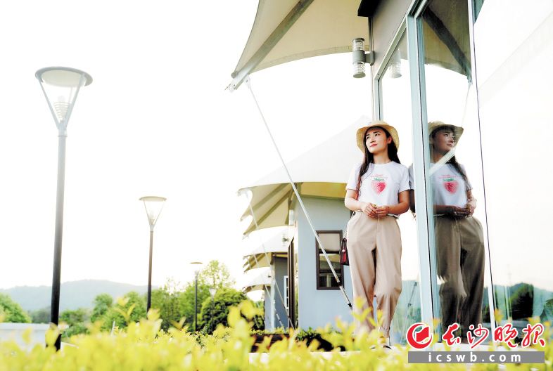 湘丰帐篷酒店镶嵌于绿色的茶海之中，吸引了不少市民前来体验。盛磊 摄
