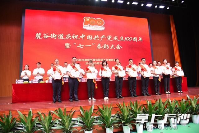 会议表彰了一批优秀党务工作者。