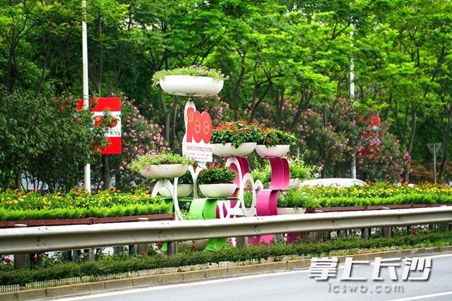 高新区还在重要交通节点种植了孔雀草、鸡冠花、夏堇、凤仙花等令花卉约45万株。