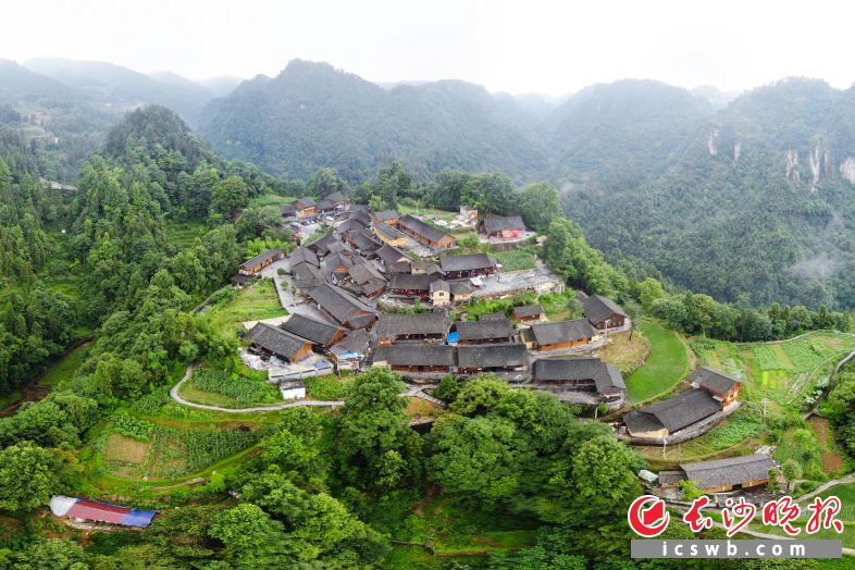 2013年11月3日，习近平总书记来到湘西土家族苗族自治州花垣县排碧乡十八洞村，首次创造性地提出“精准扶贫”重要理念。这是2020年6月29日拍摄的十八洞村梨子寨（无人机照片）。