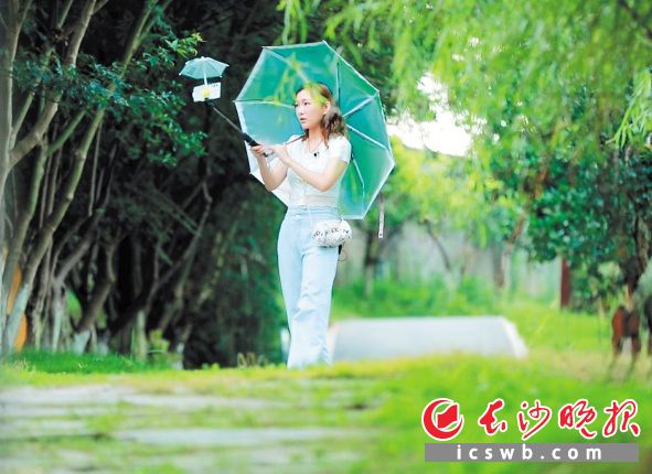 高温天里，丁思言在三珍虎园直播。