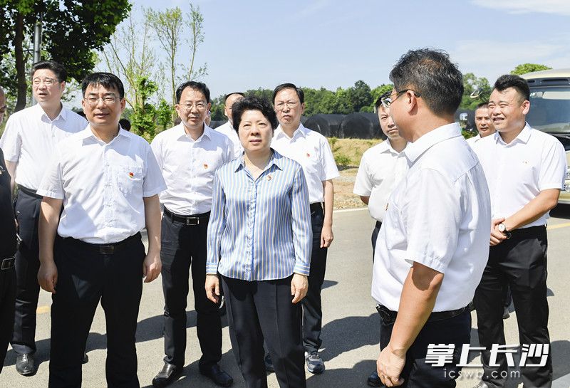 会前，吴桂英深入煤炭坝镇调研产业转型、文旅融合、美丽乡村建设和采煤沉陷区综合治理等工作。长沙晚报全媒体记者 余劭劼 摄