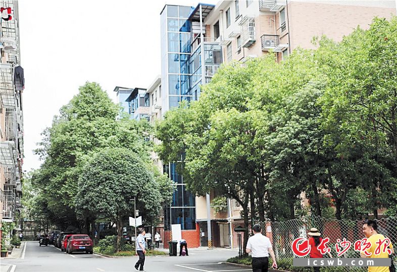 芙蓉区白沙湾社区内，加装的电梯让居民上下楼不再难。 长沙晚报通讯员 文进 摄