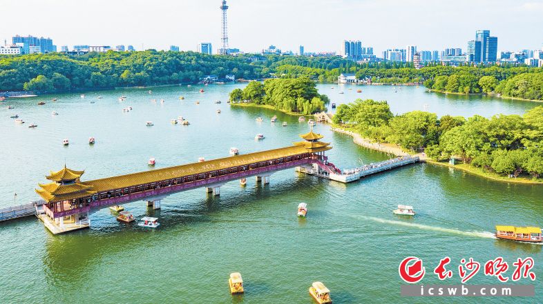 游客泛舟年嘉湖，感受美好。