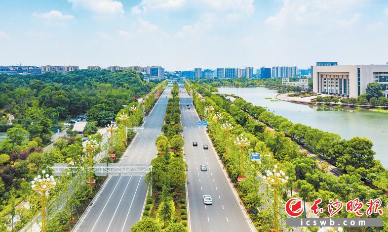 湘府路两旁绿树成荫。