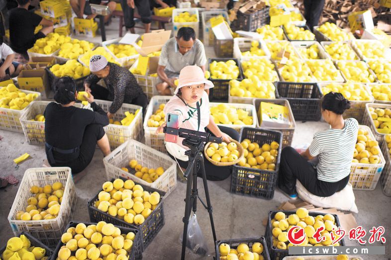 开直播、当网红，许多龙山农户选择这种“潮”营销，带货特色农产品。