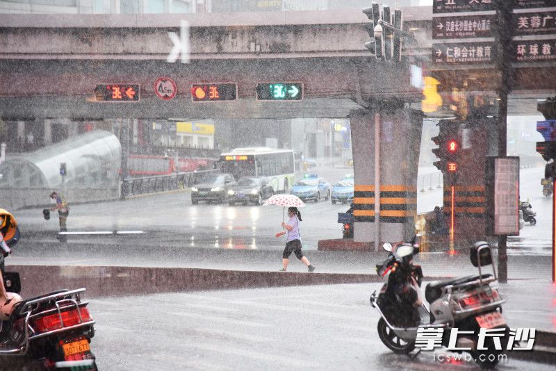 8月5日16时许，长沙城区突降暴雨。长沙晚报全媒体记者 刘琦 摄