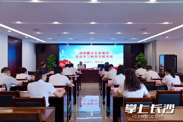 随后，湖南麓谷发展集团举行专题党课。
