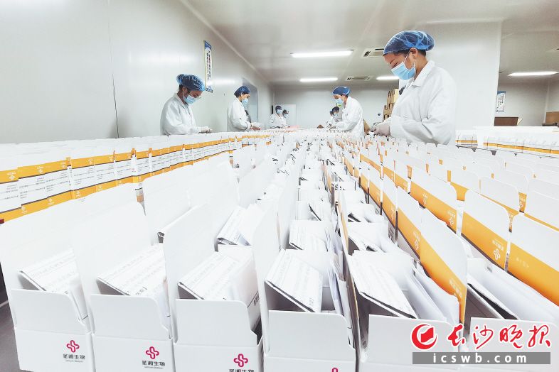 圣湘生物所有生产线满负荷运作，目前新冠核酸检测试剂产能可达300万人份/天。长沙晚报通讯员 尹婷摄